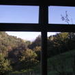 25 pv view S window_1
