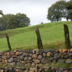 DSCN1754