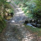 DSCN1784