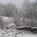17 LogSnow_1